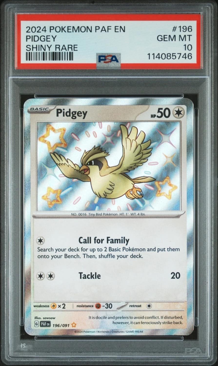 Pidgey