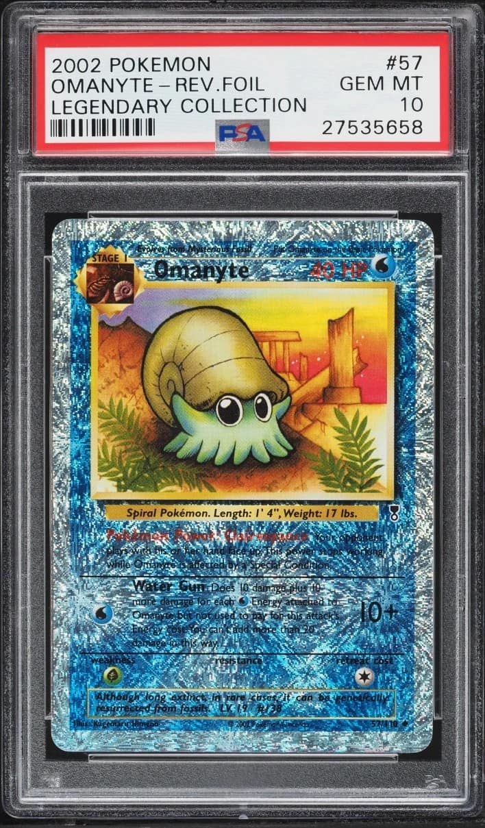 Omanyte