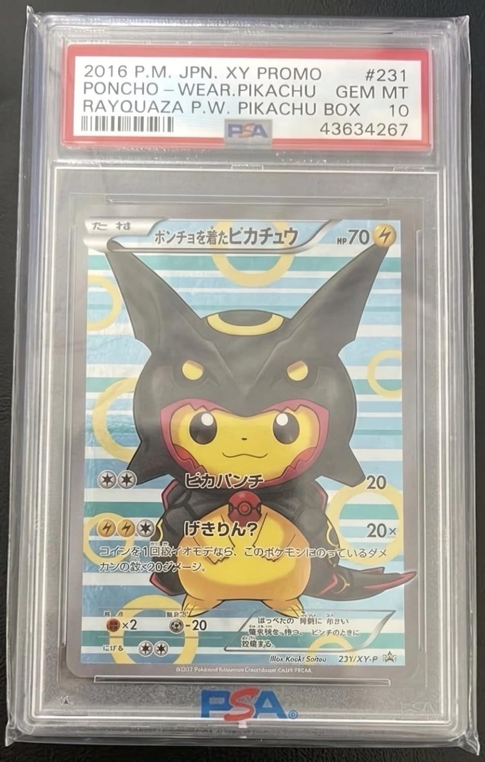 Poncho-Wearing Pikachu