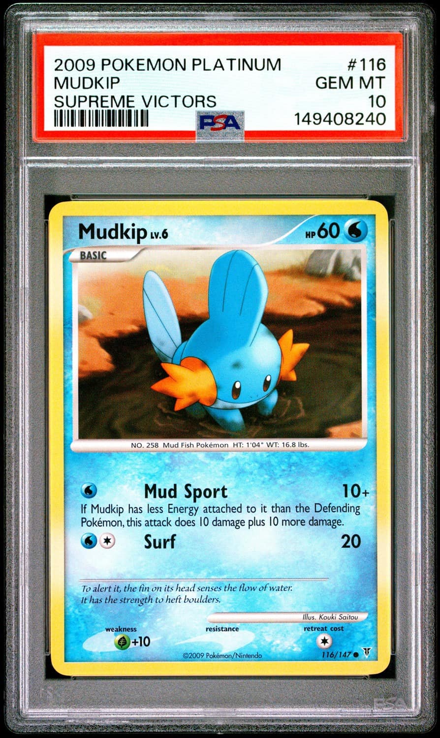 Mudkip