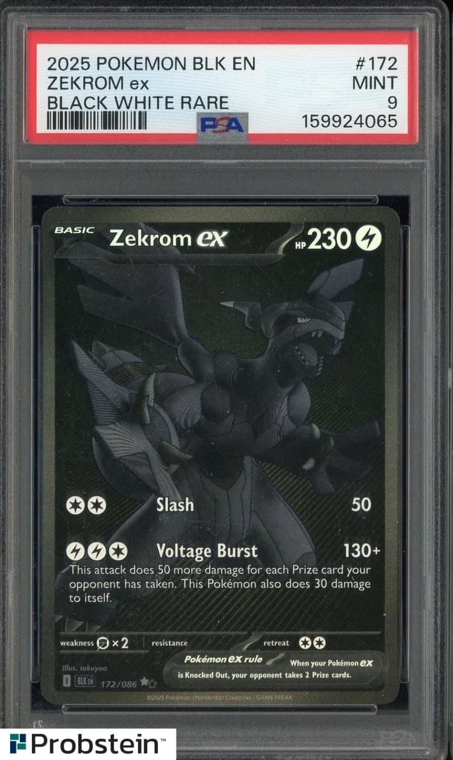 Zekrom Ex