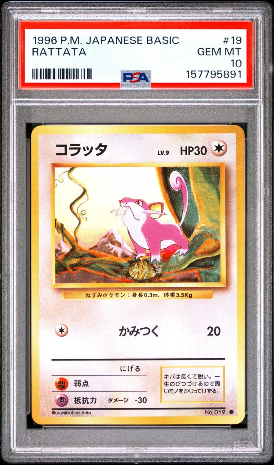 Rattata
