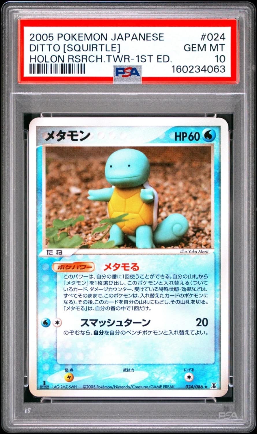 Ditto [squirtle]