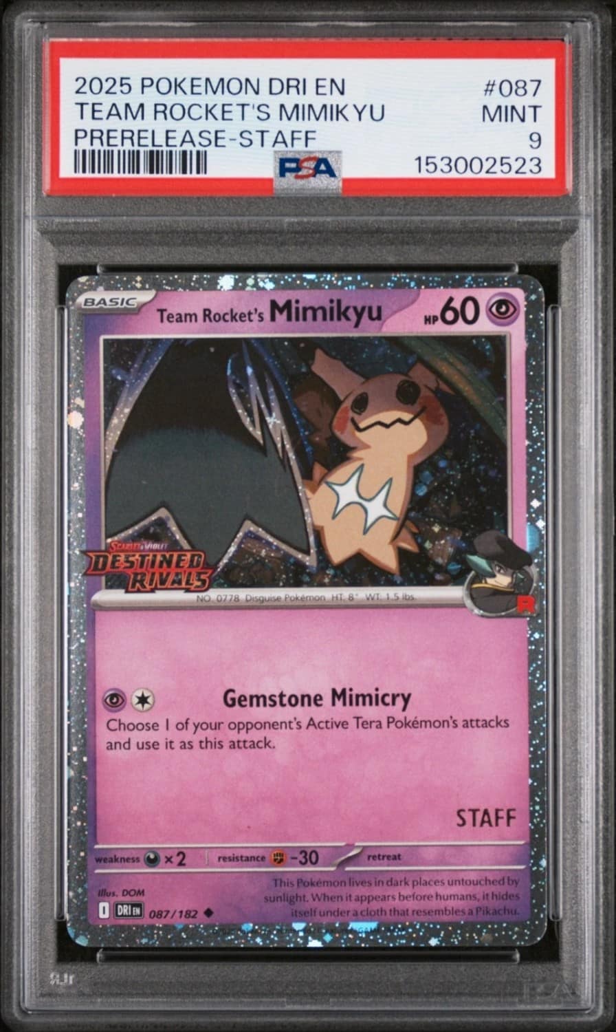 Team Rocket'S Mimikyu