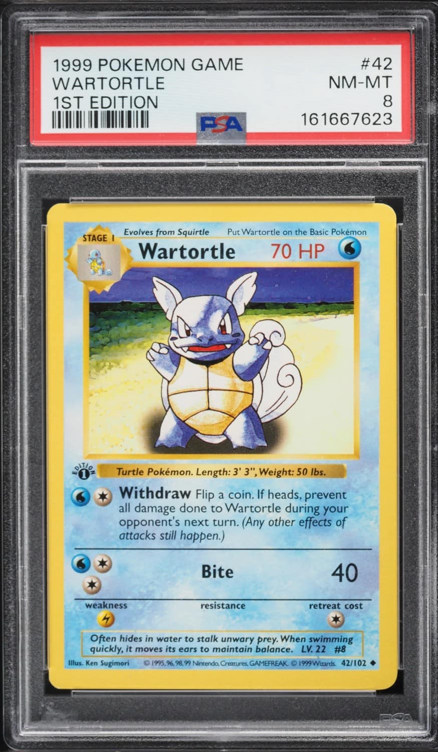 Wartortle