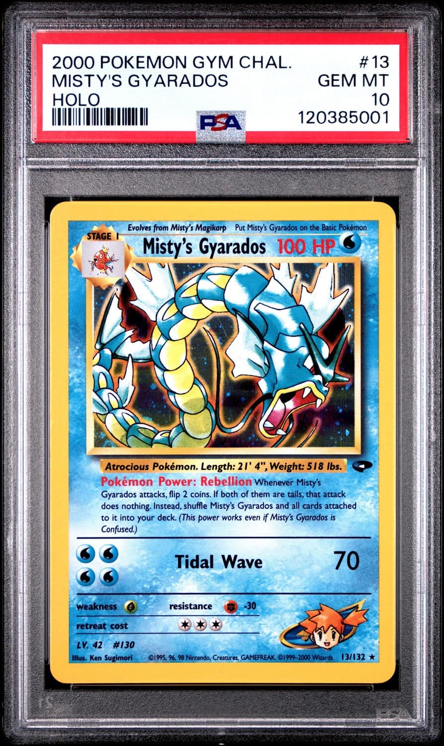 Misty'S Gyarados