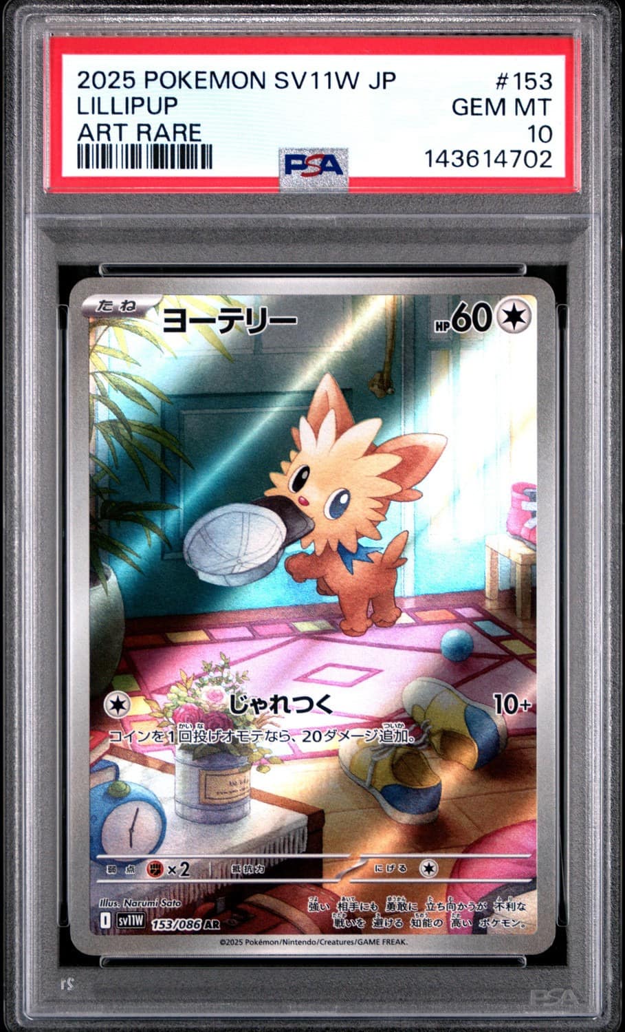 Lillipup
