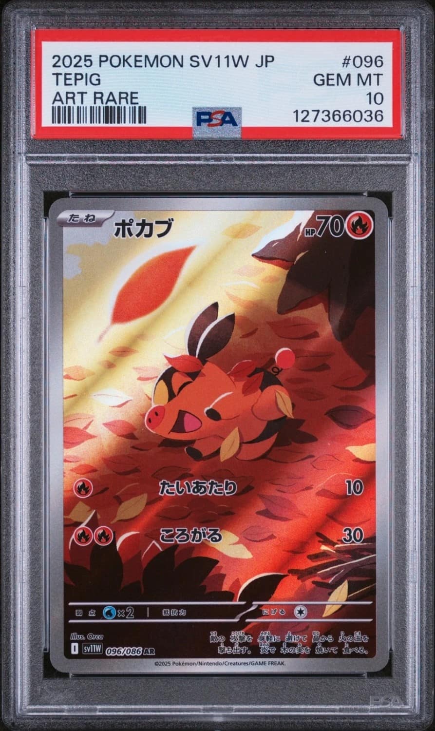 Tepig