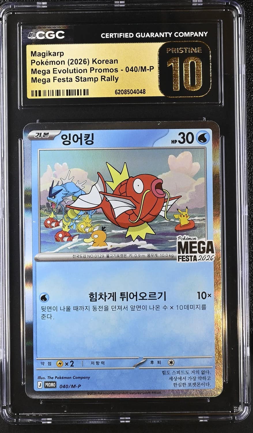 Magikarp