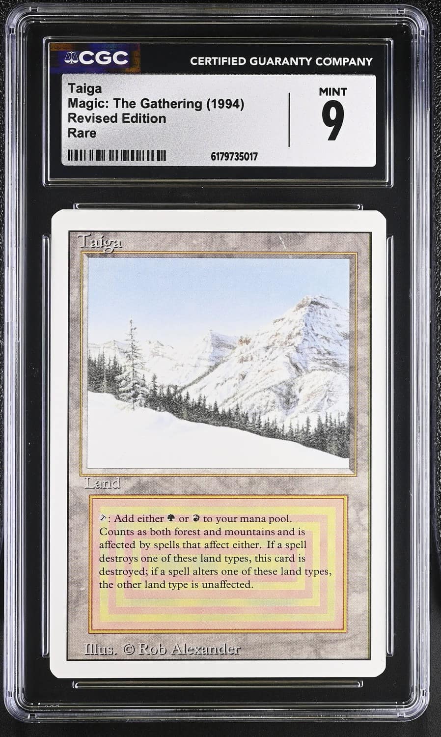 Taiga