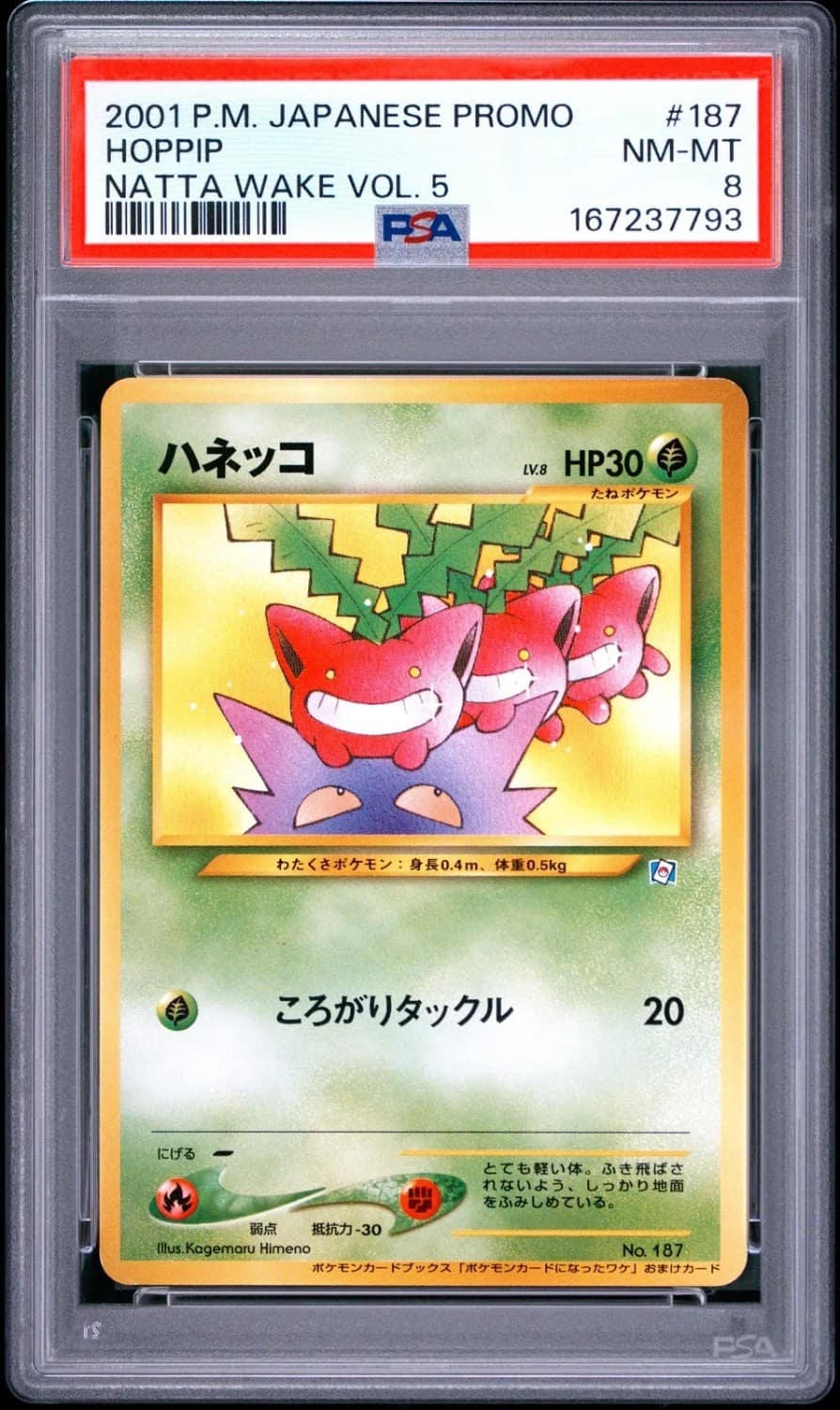 Hoppip