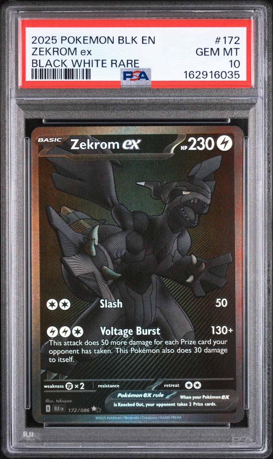Zekrom Ex