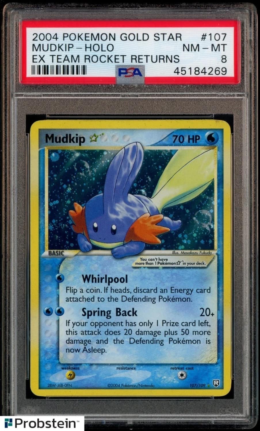 Mudkip