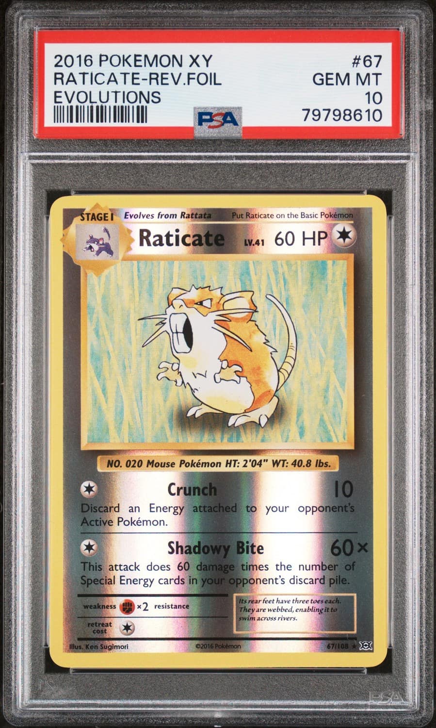 Raticate