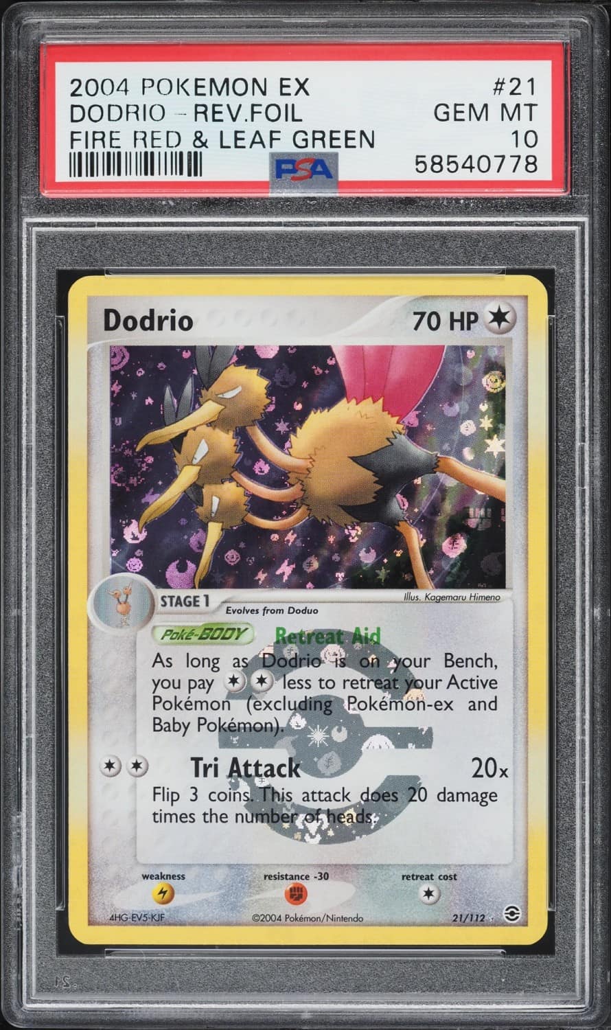 Dodrio