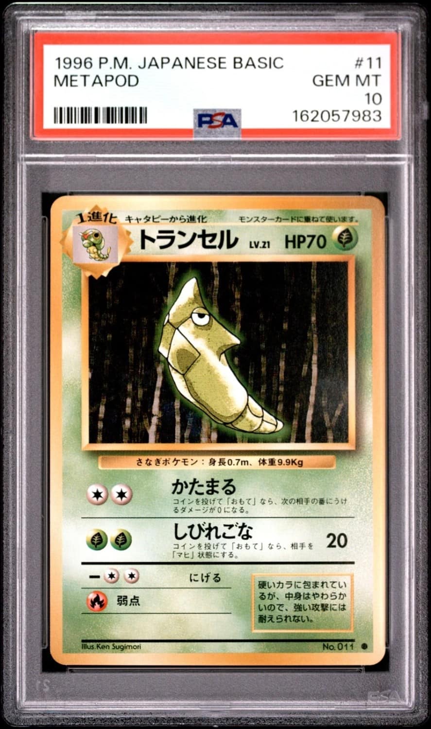 Metapod