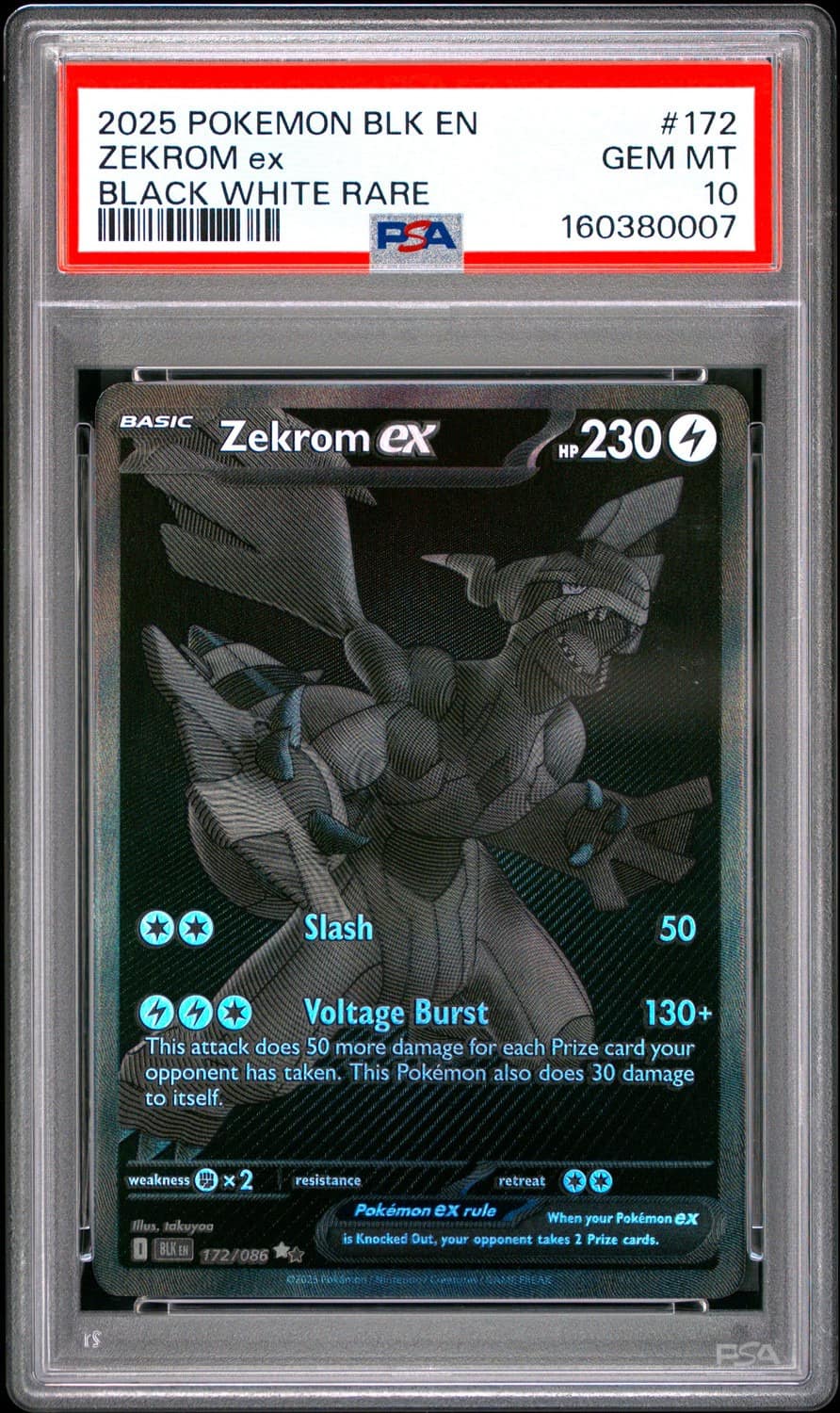 Zekrom Ex
