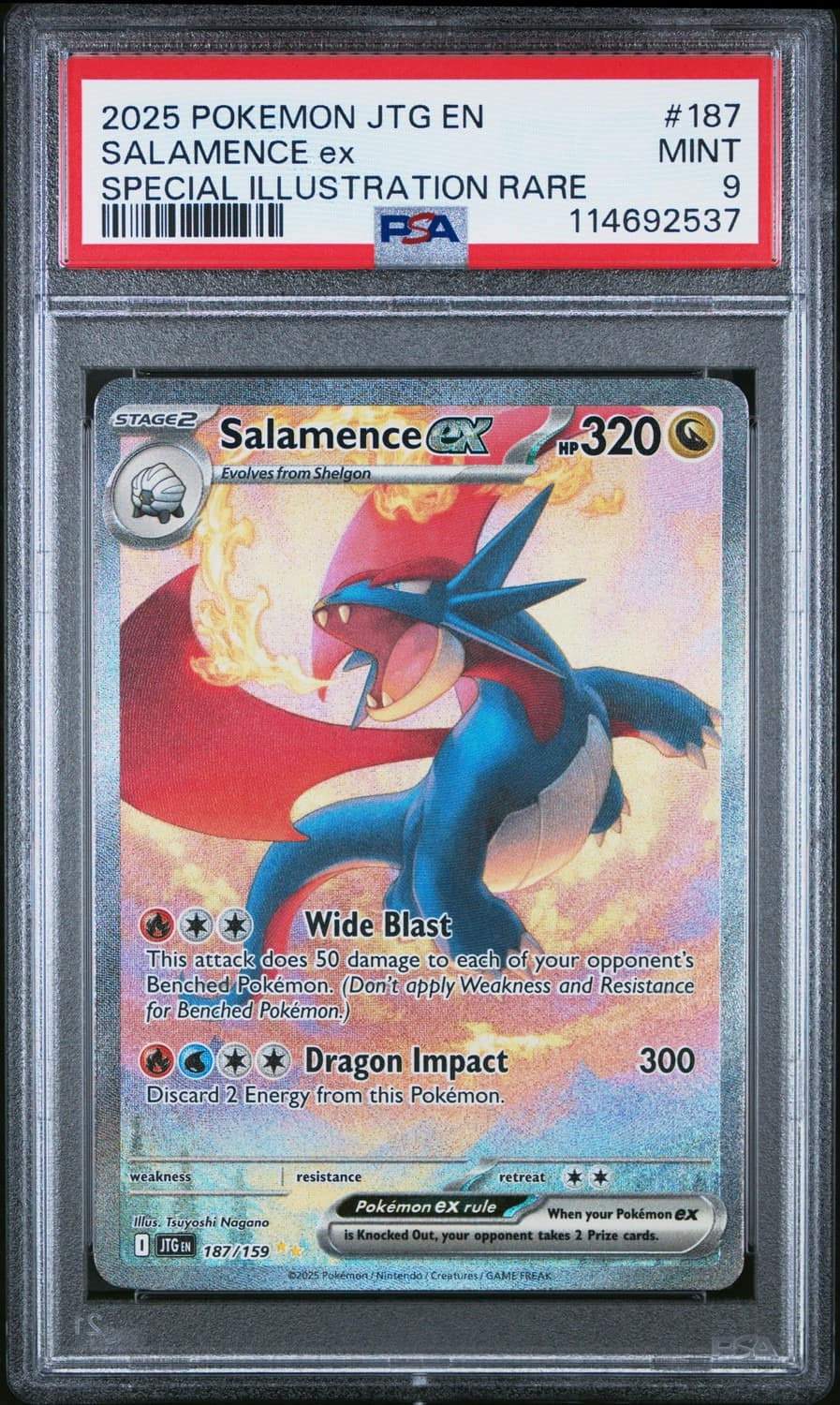 Salamence Ex