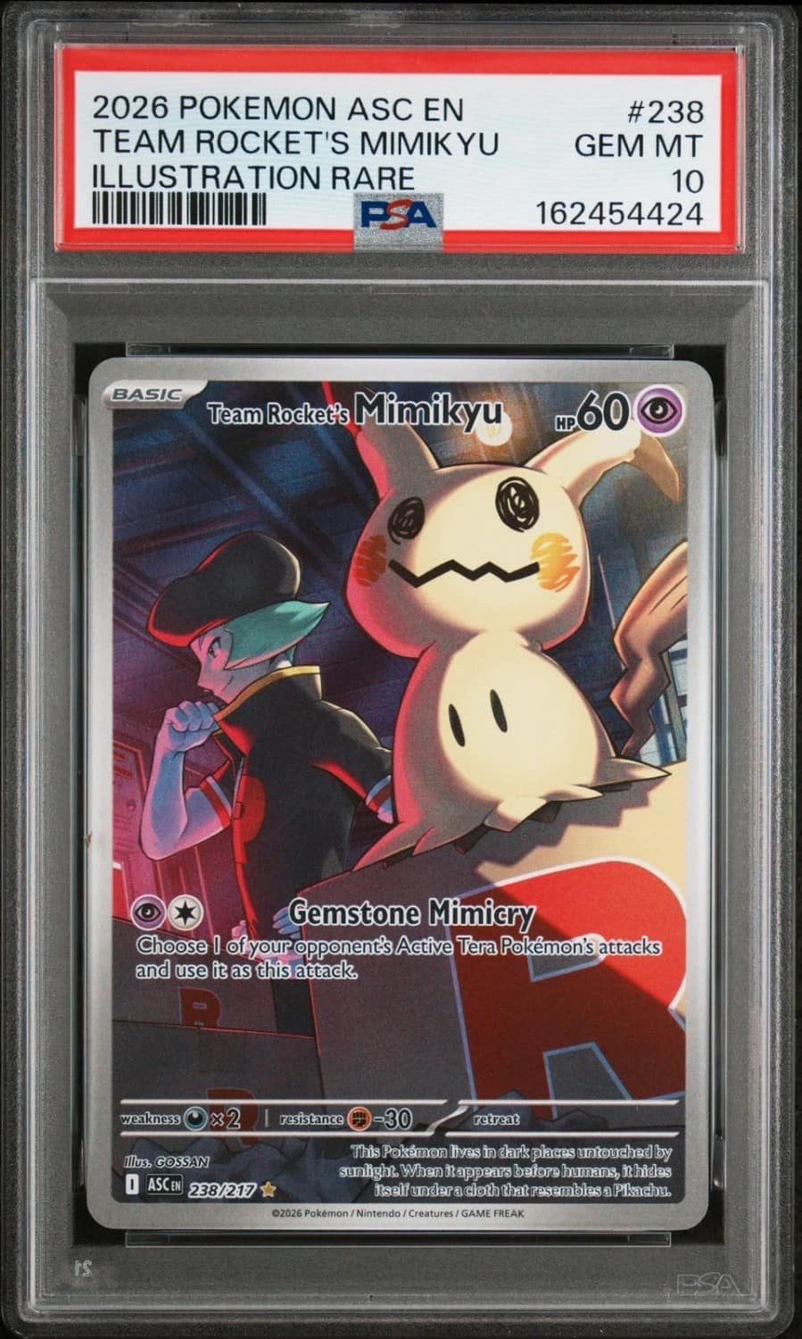 Team Rocket'S Mimikyu