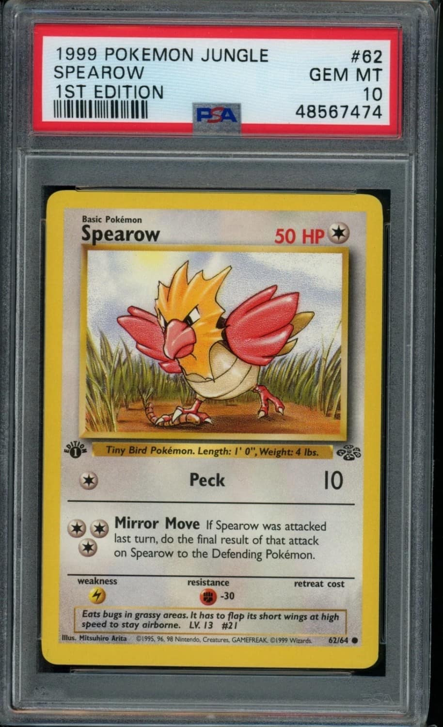 Spearow