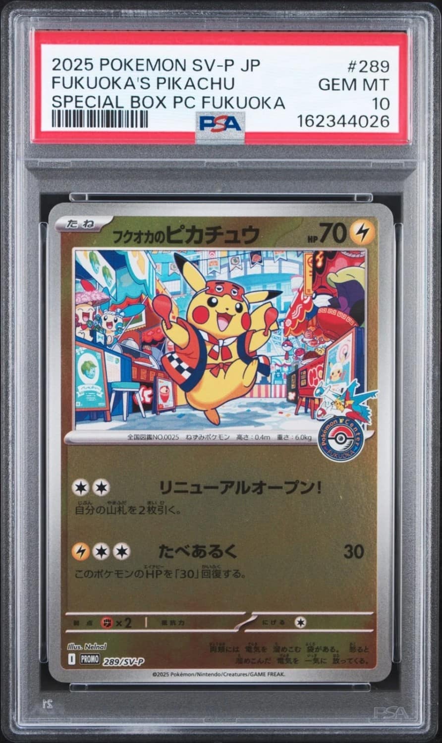 Fukuoka'S Pikachu
