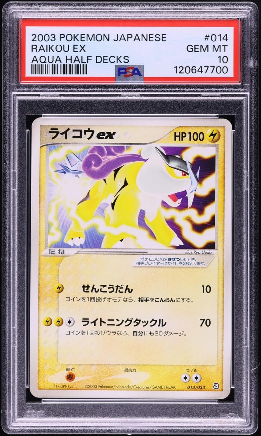 Raikou Ex
