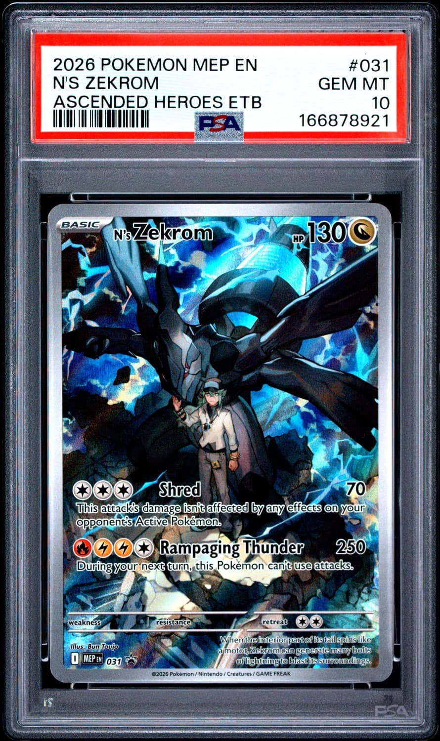 N'S Zekrom