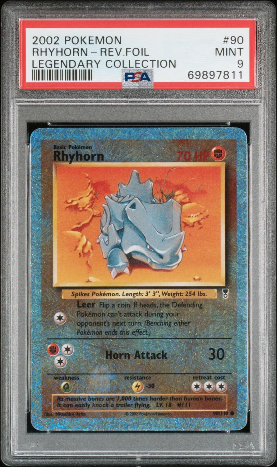 Rhyhorn