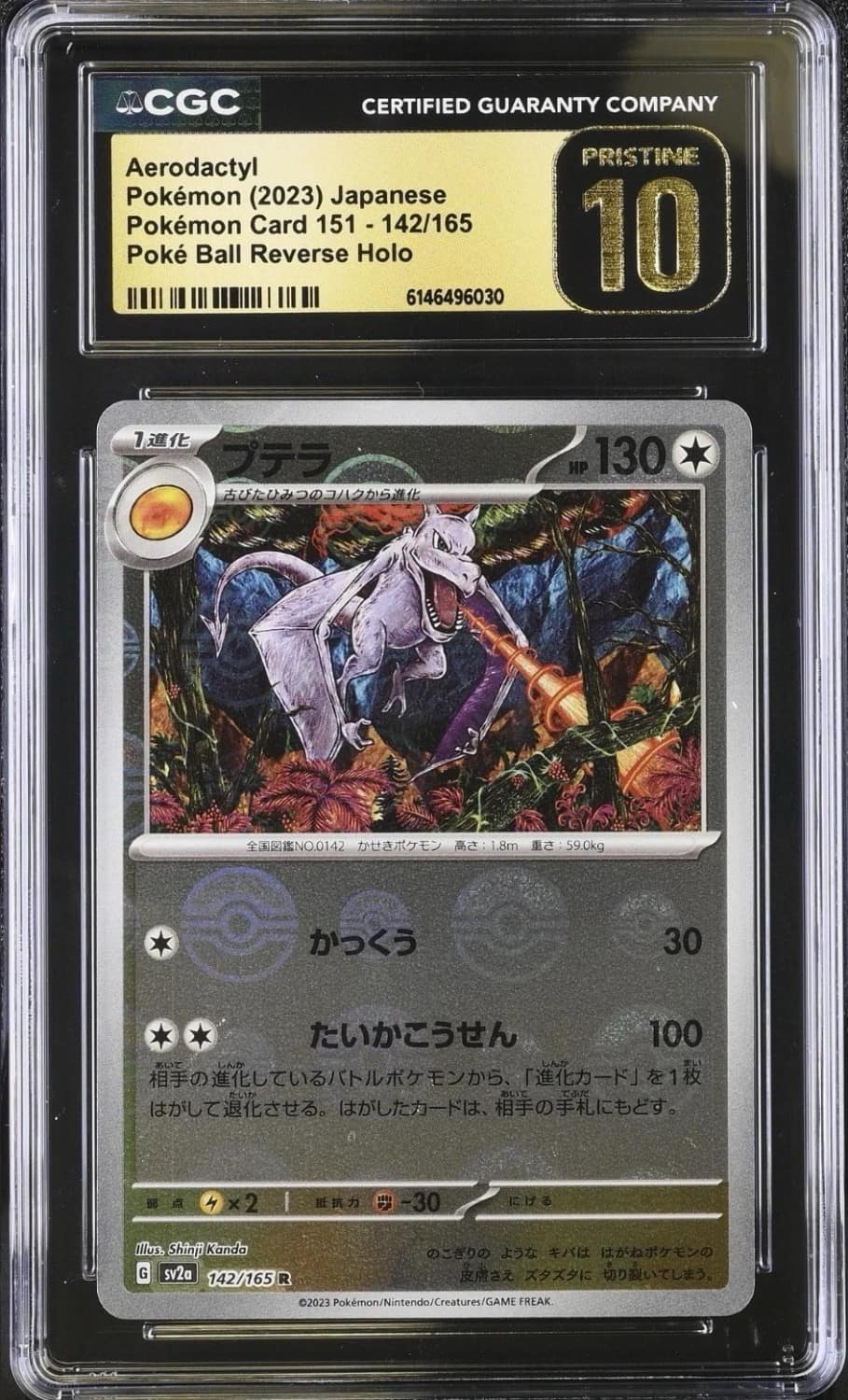Aerodactyl