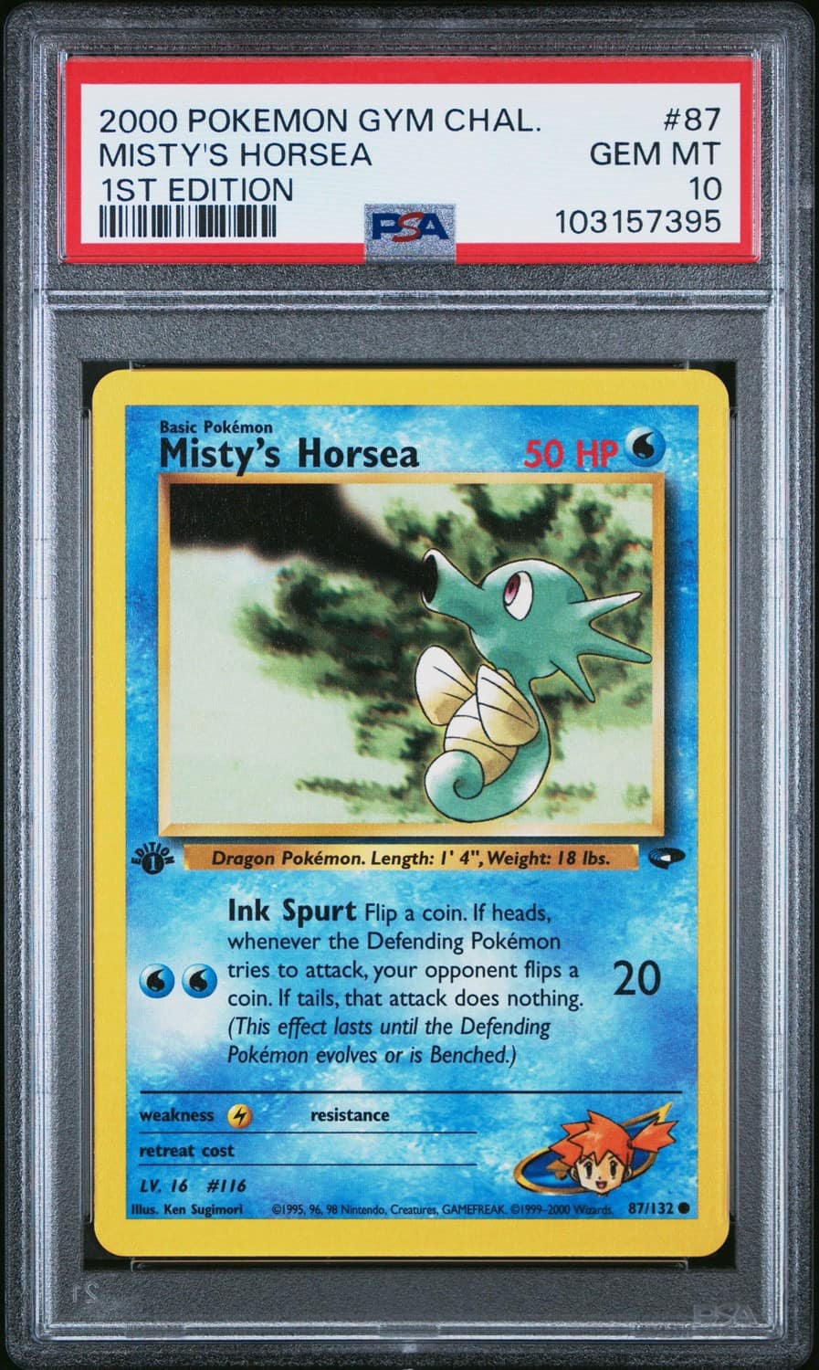 Misty'S Horsea