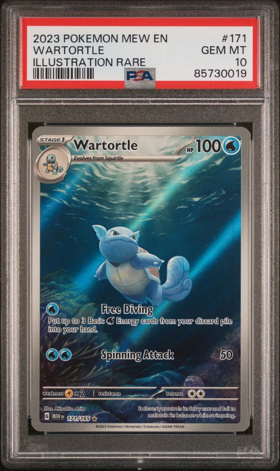 Wartortle