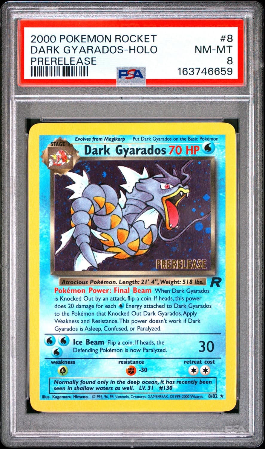 Dark Gyarados