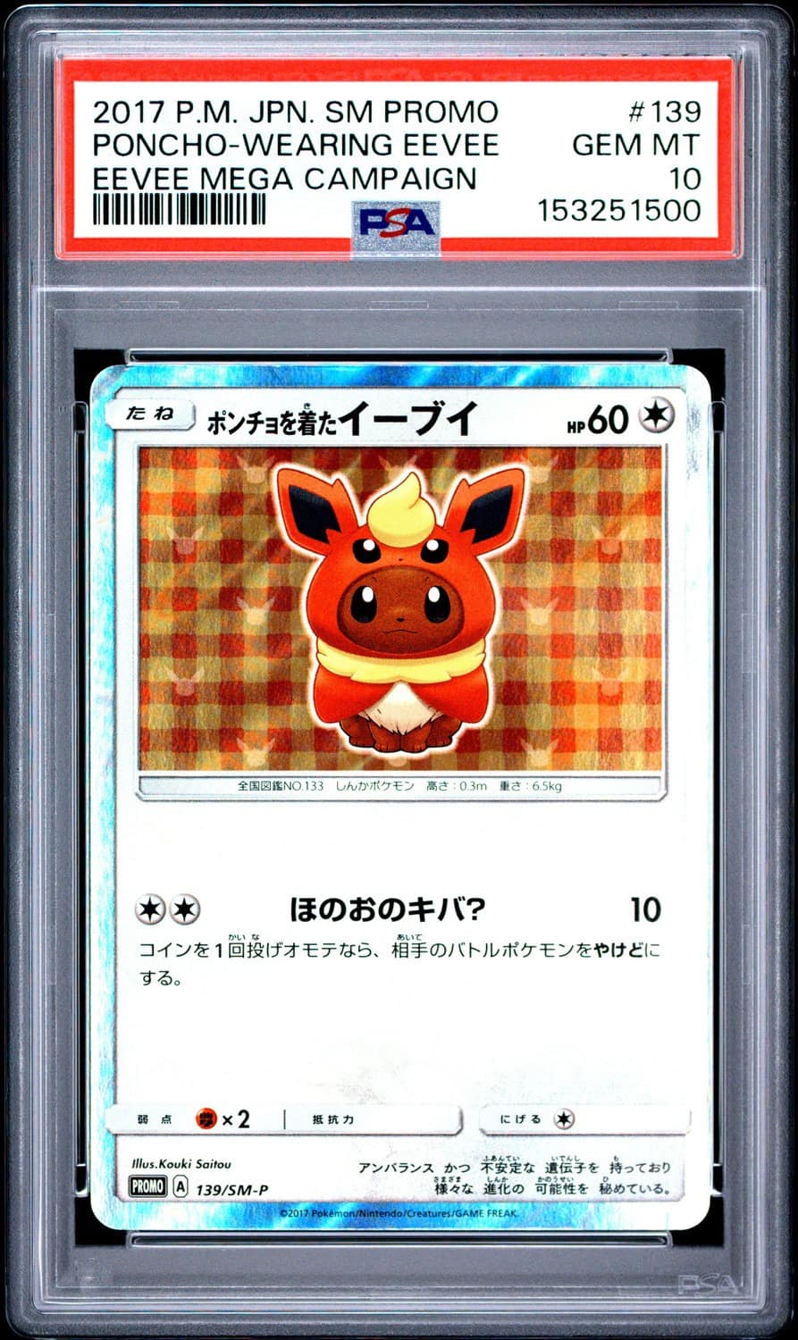Poncho-Wearing Eevee