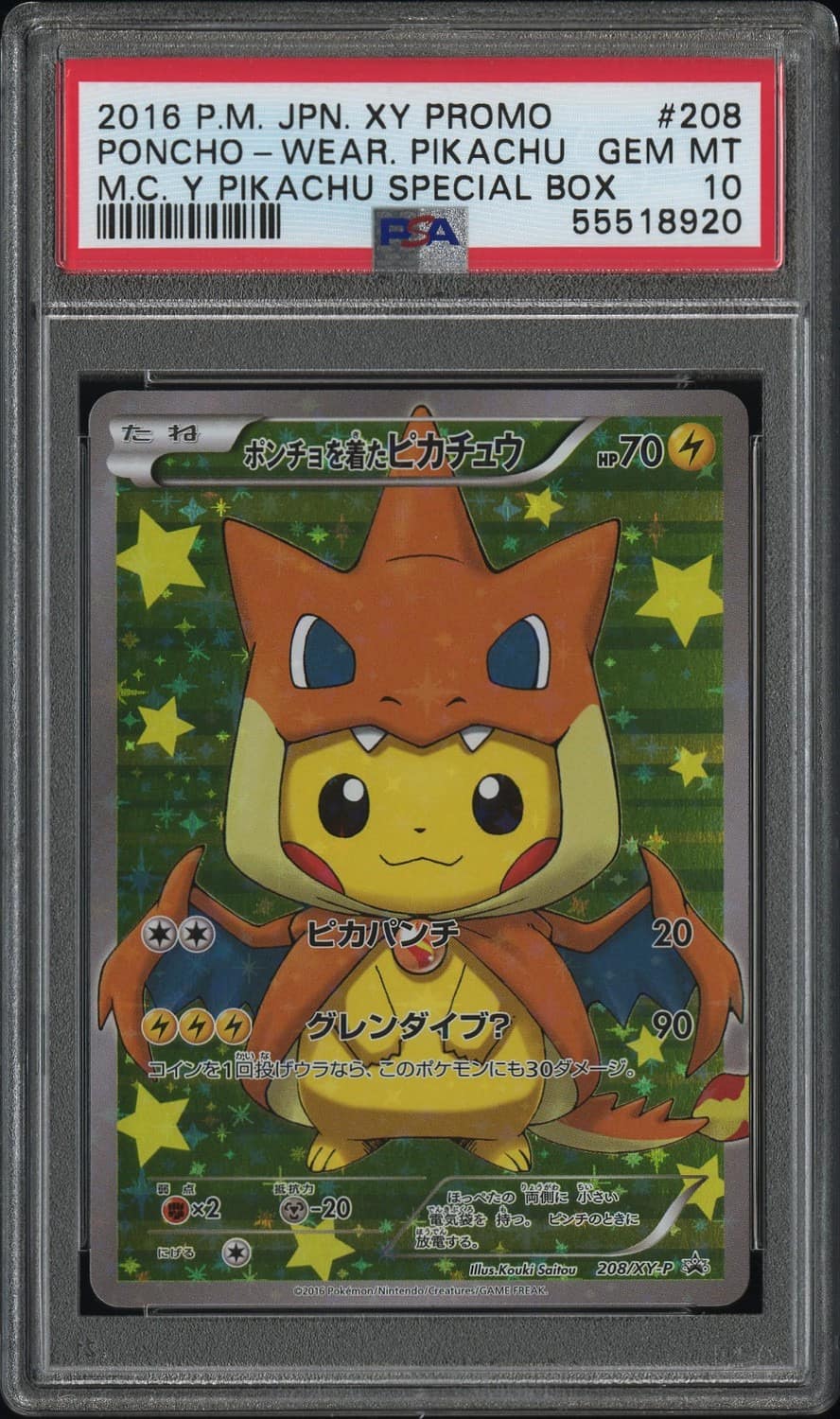 Poncho-Wearing Pikachu