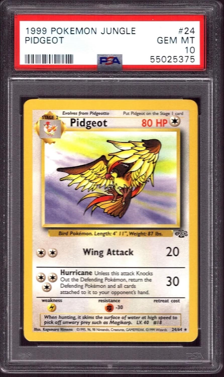 Pidgeot