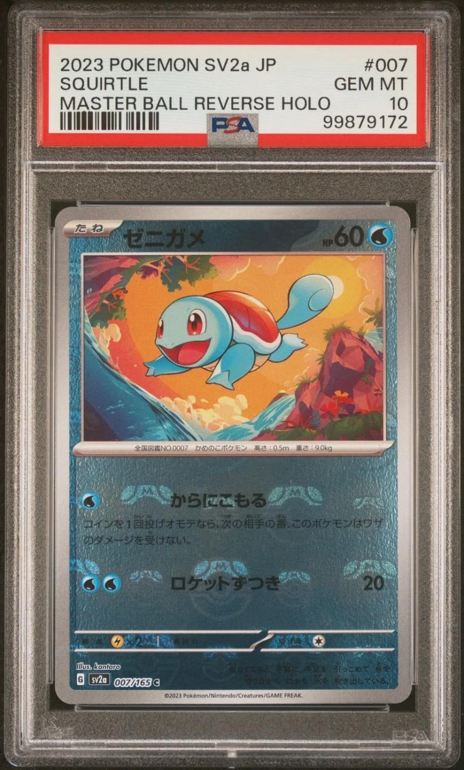 Squirtle
