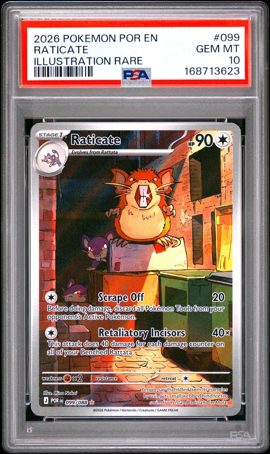 Raticate