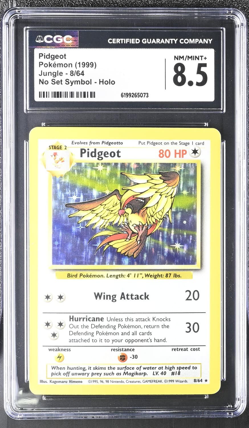 Pidgeot