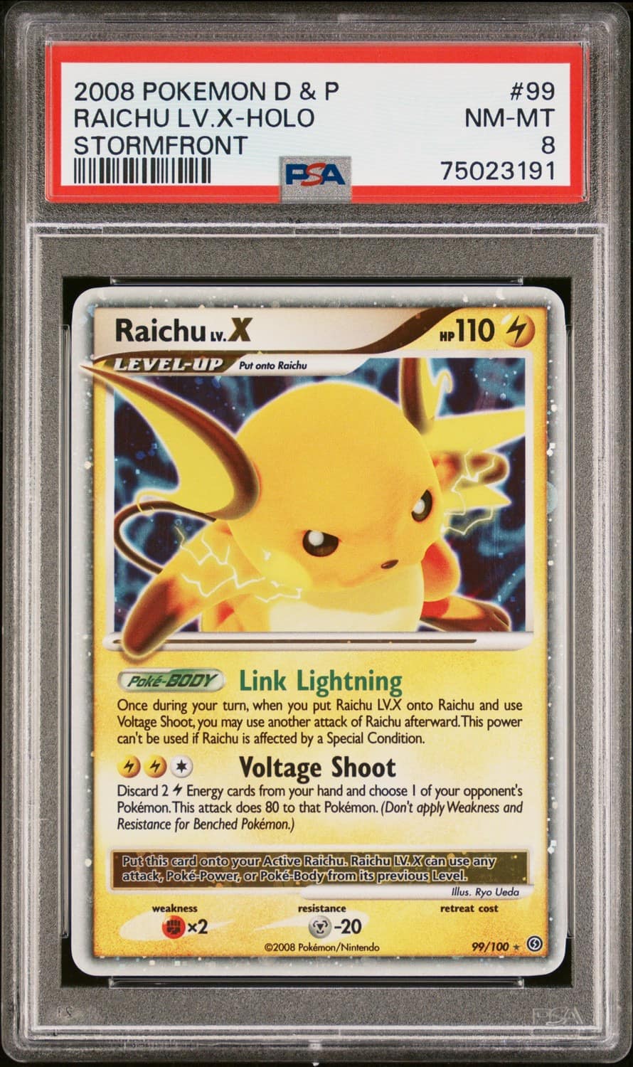 Raichu Lv.x