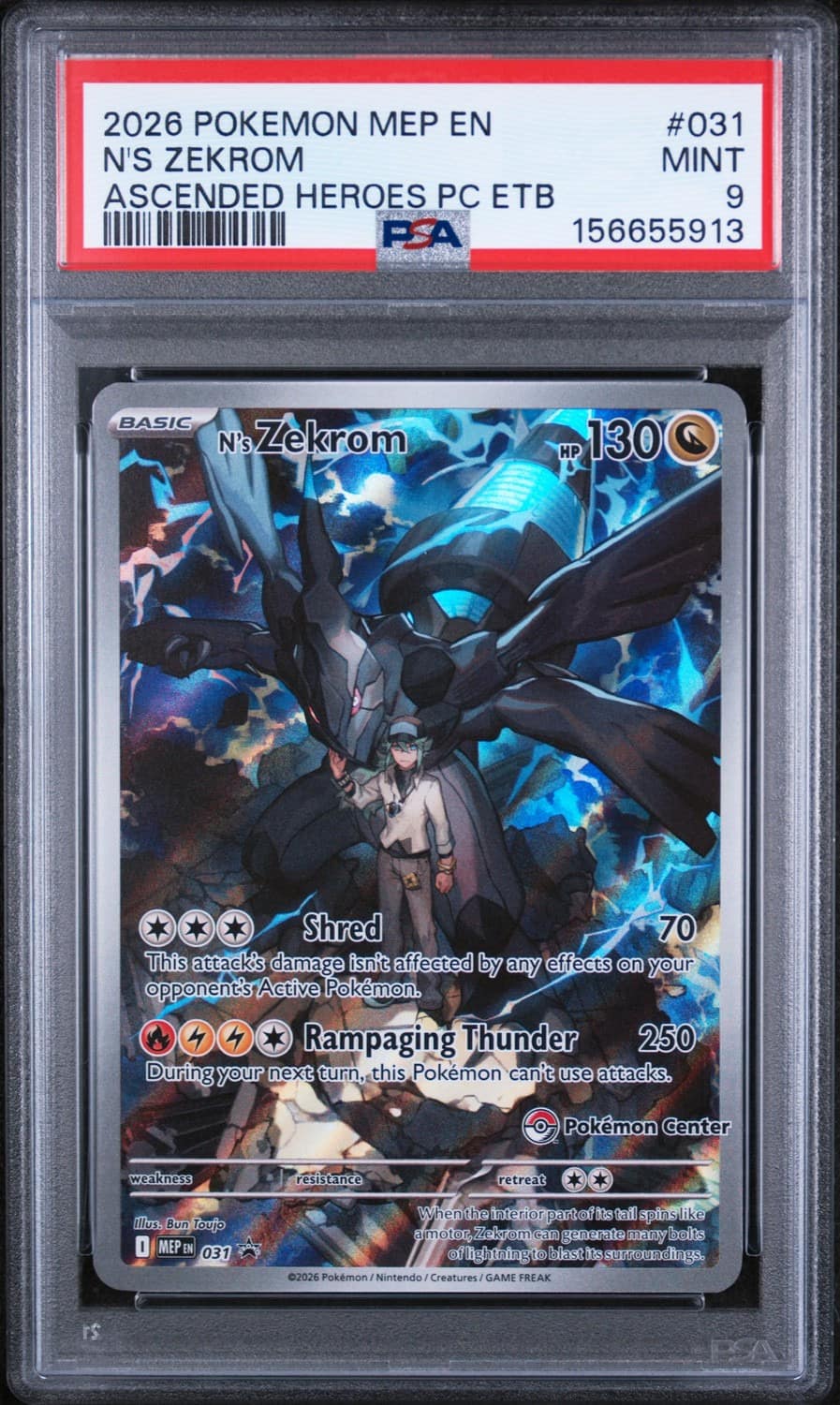 N'S Zekrom