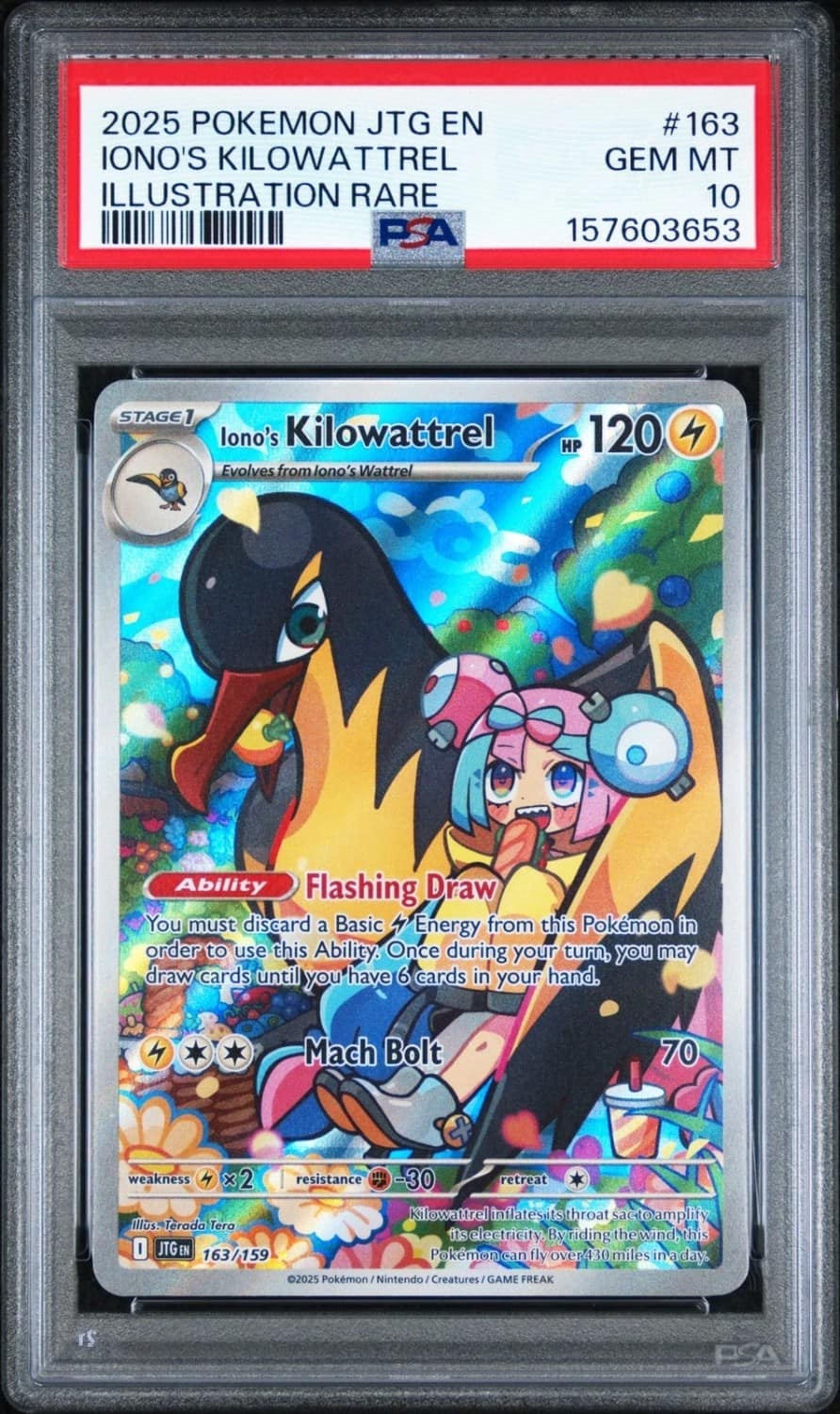 Iono'S Kilowattrel