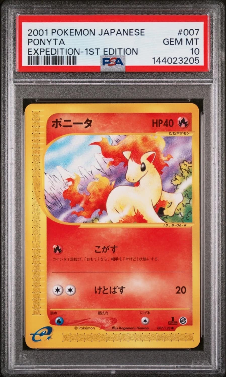 Ponyta