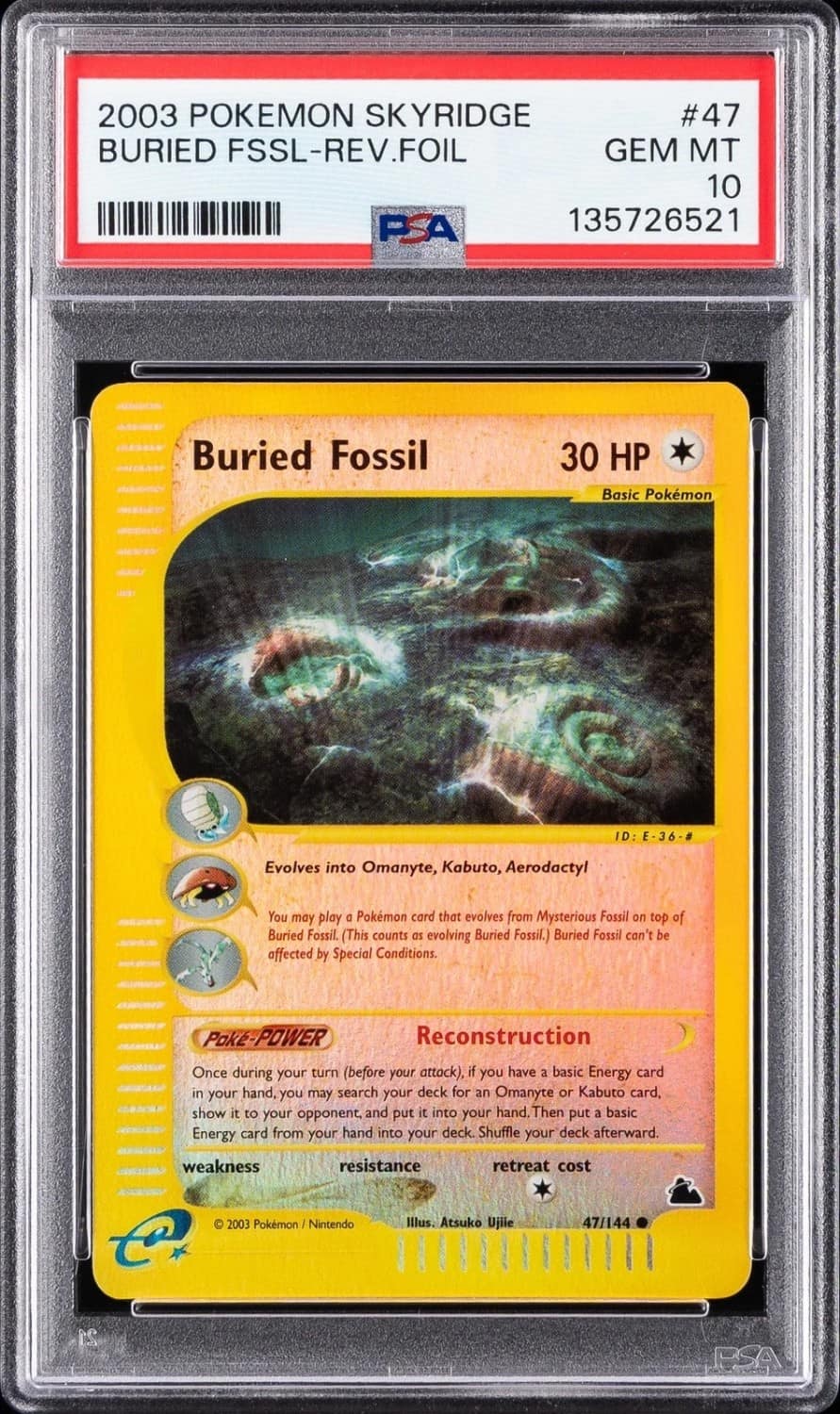Buried Fossil