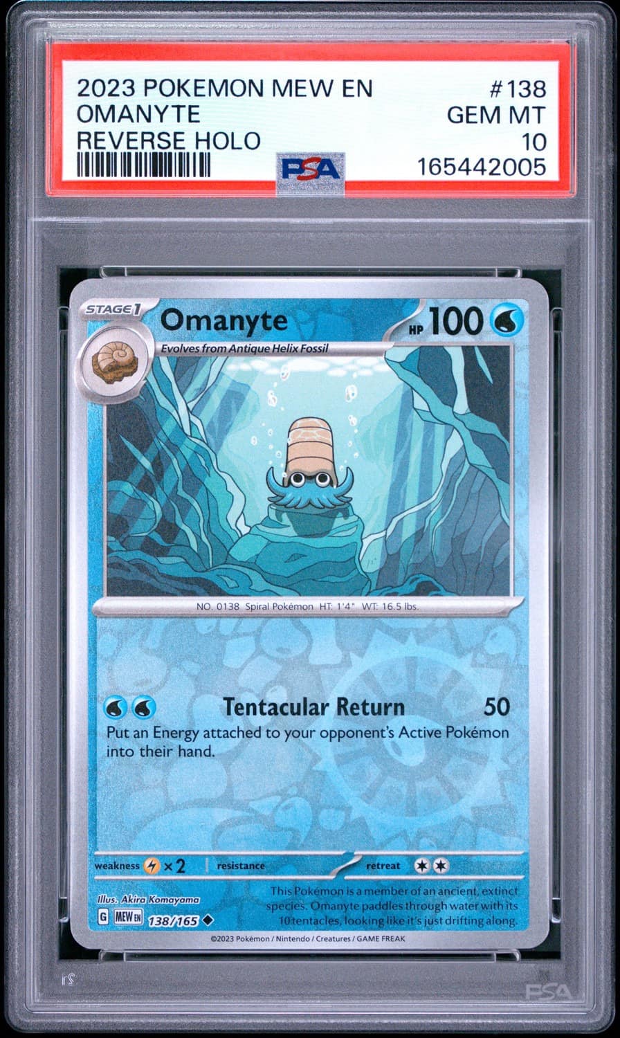 Omanyte