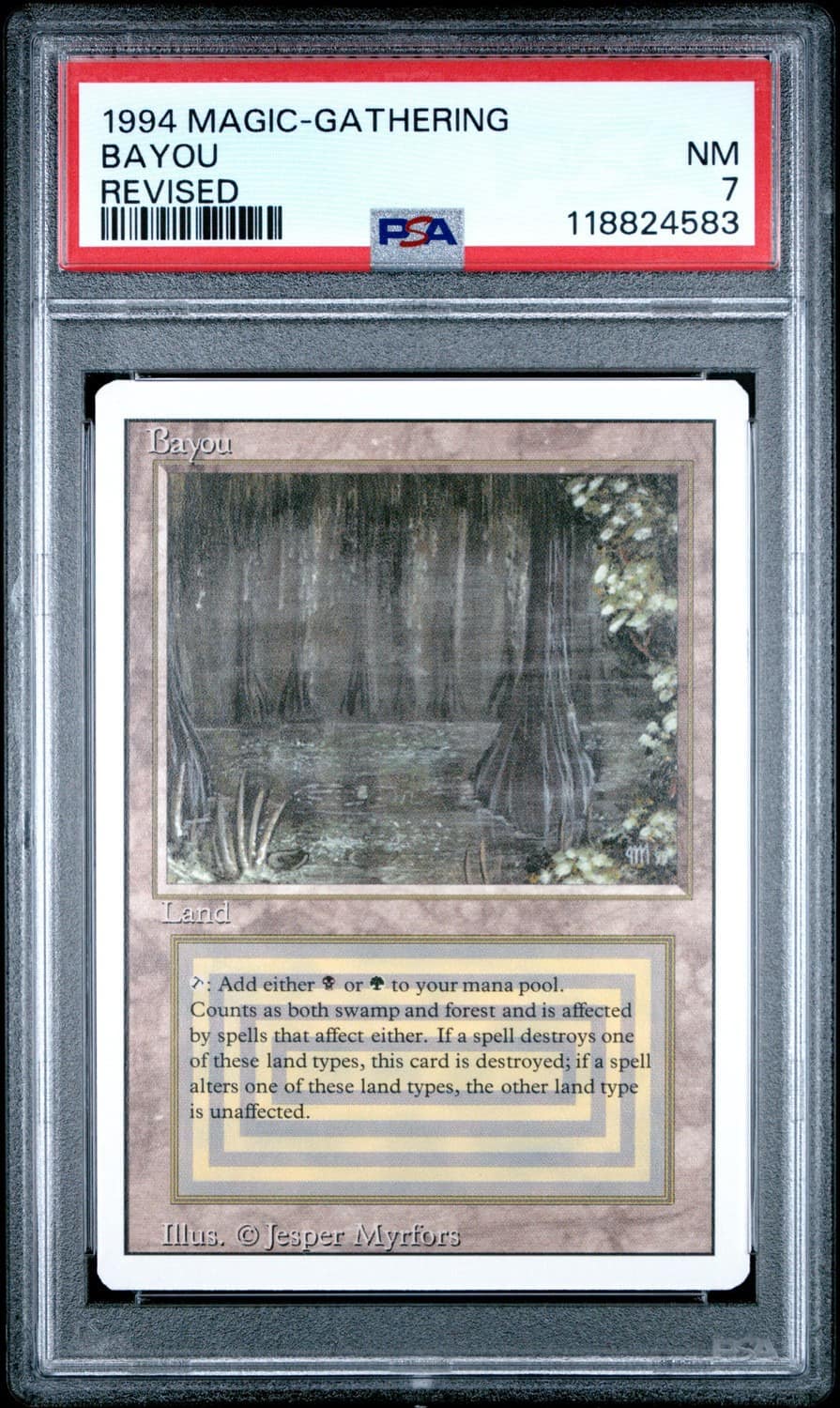 Bayou