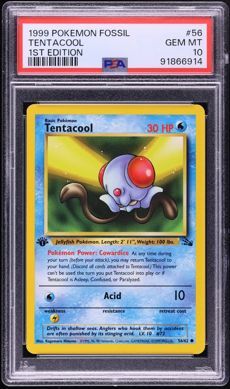 Tentacool