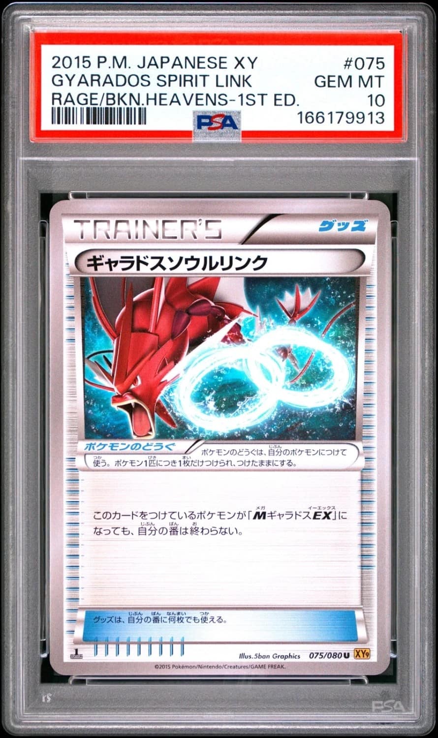 Gyarados Spirit Link