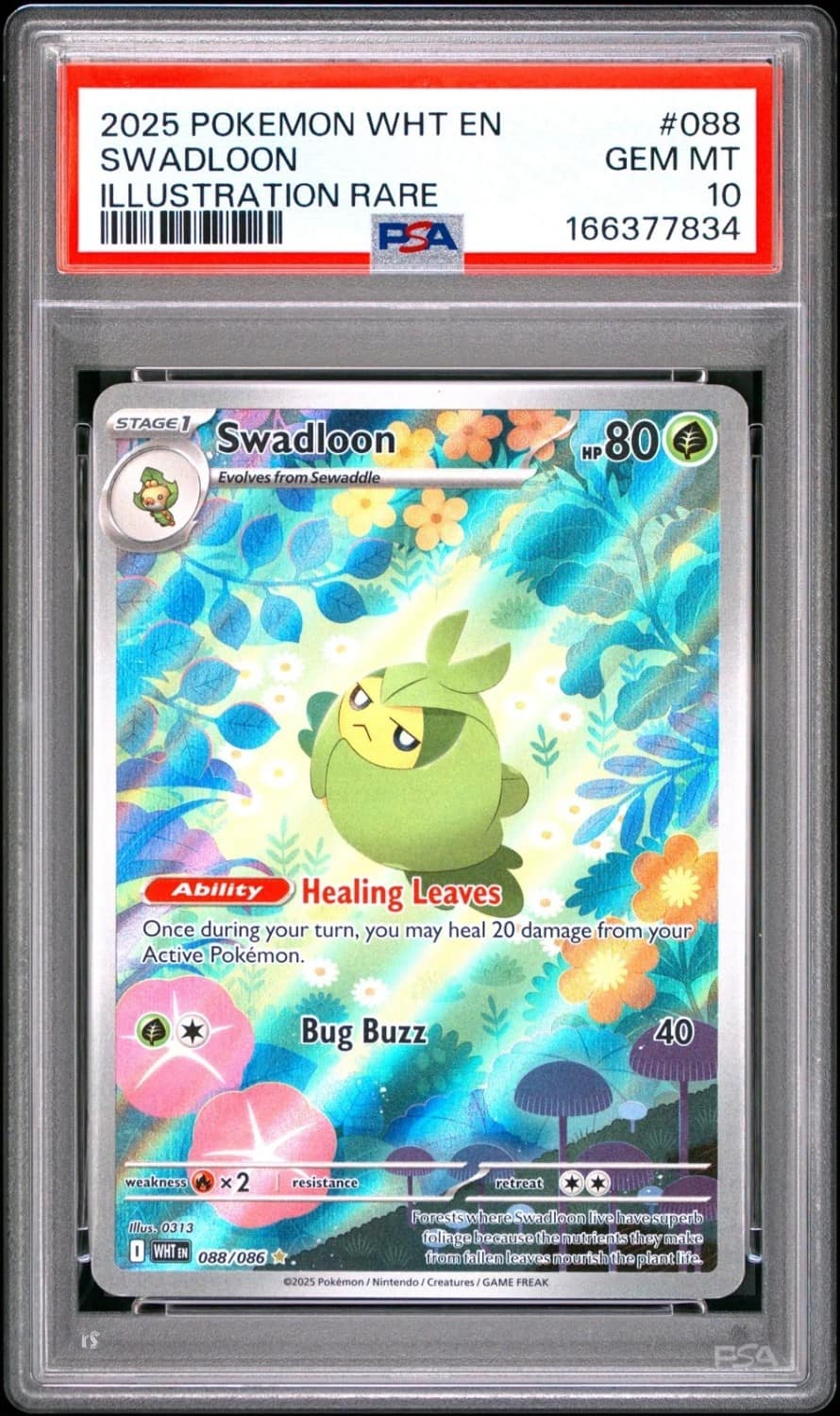 Swadloon