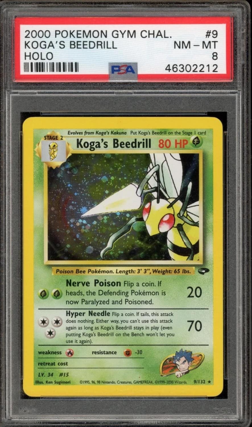 Koga'S Beedrill