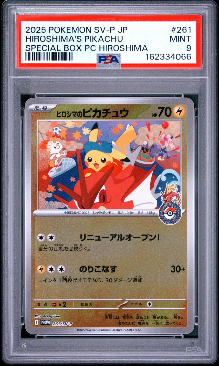 Hiroshima'S Pikachu